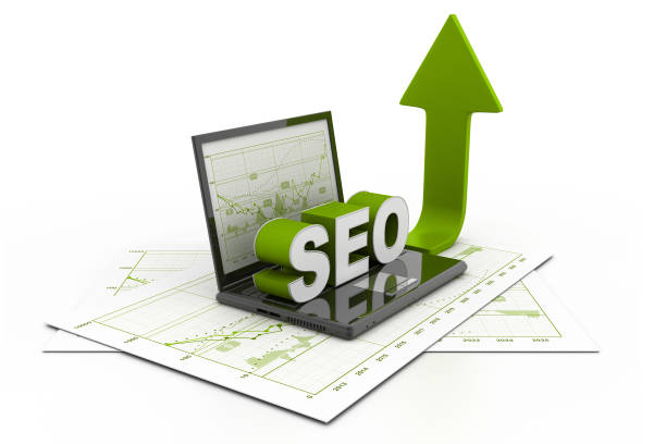 SEO Company in Hisar